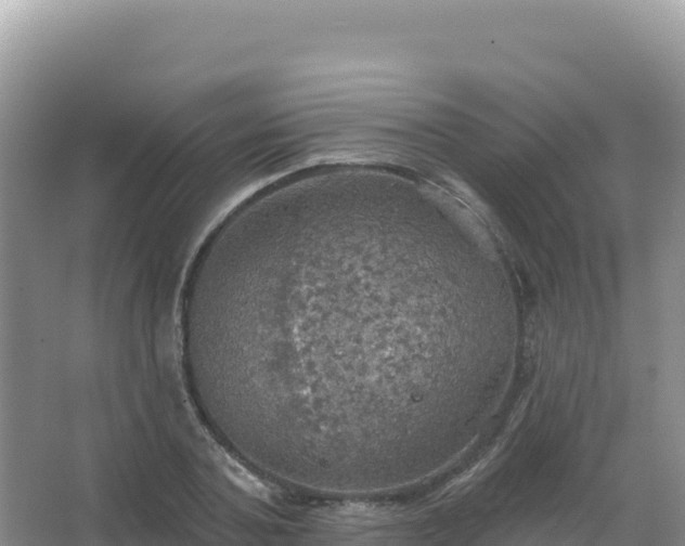 X0000067470787200604142349