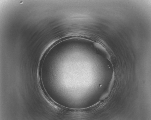 X0000067470788200604142349