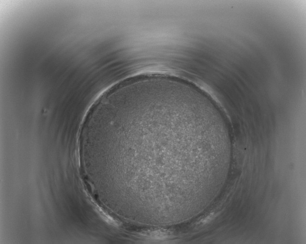 X0000067470791200604142349