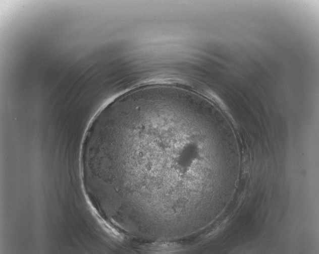 X0000067470795200604142349