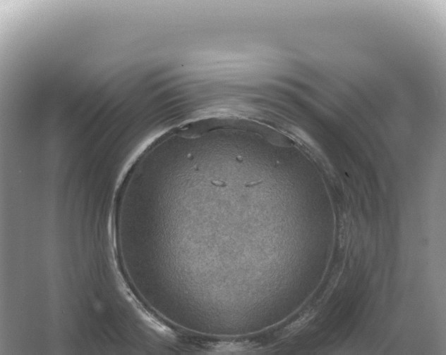 X0000067470796200604142349