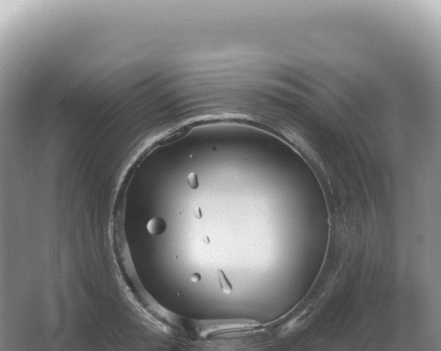 X0000067470797200604142349