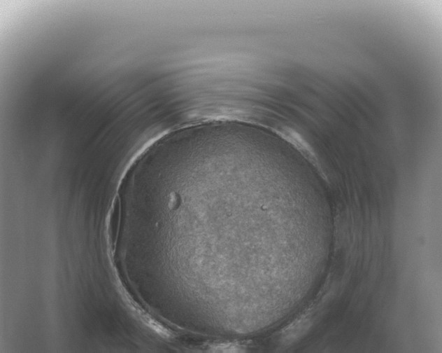 X0000067470798200604142349