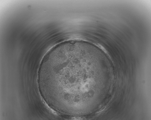 X0000067470799200604142349