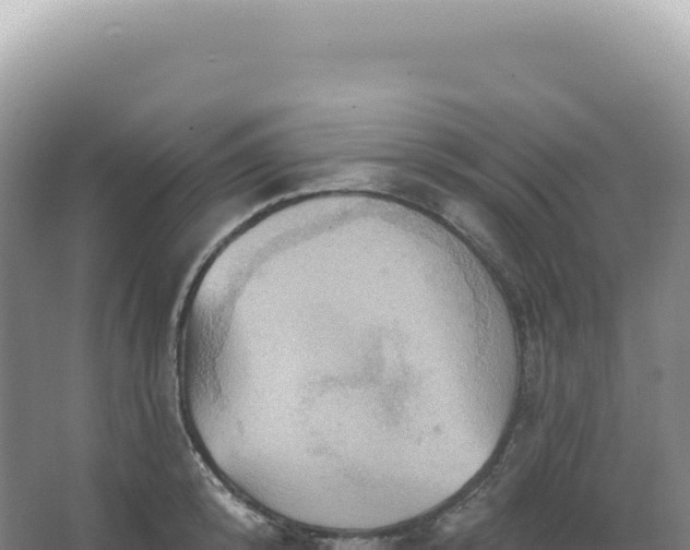 X0000067470800200604142349