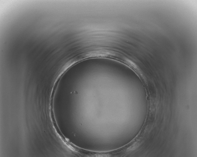 X0000067470802200604142349