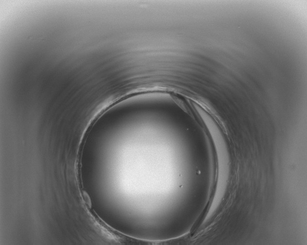 X0000067470805200604142349