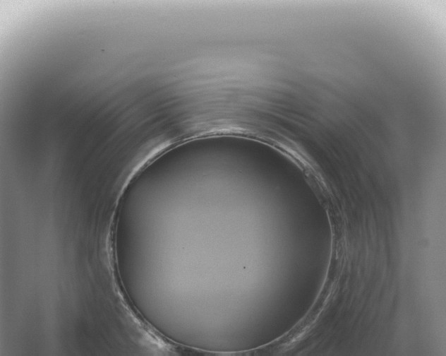 X0000067470806200604142349