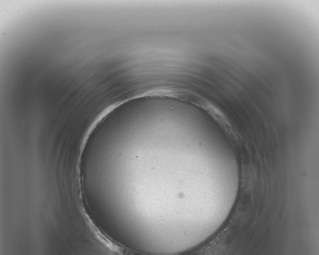 X0000067470808200604142349