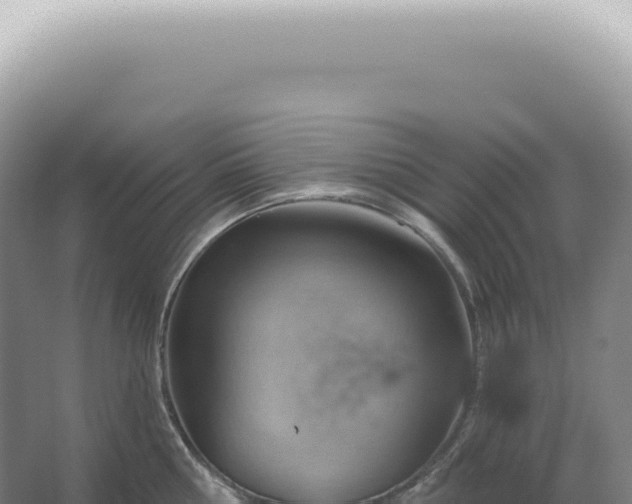 X0000067470810200604142349