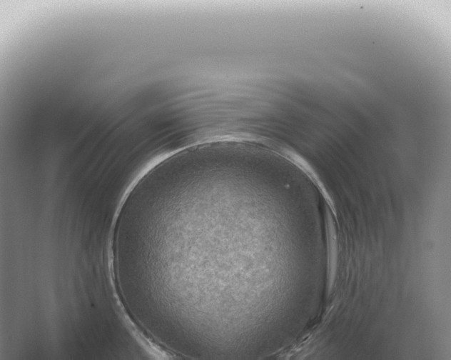 X0000067470811200604142349