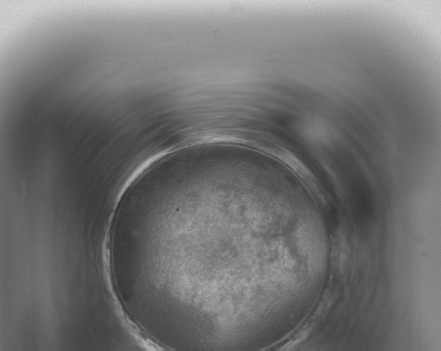 X0000067470814200604142349