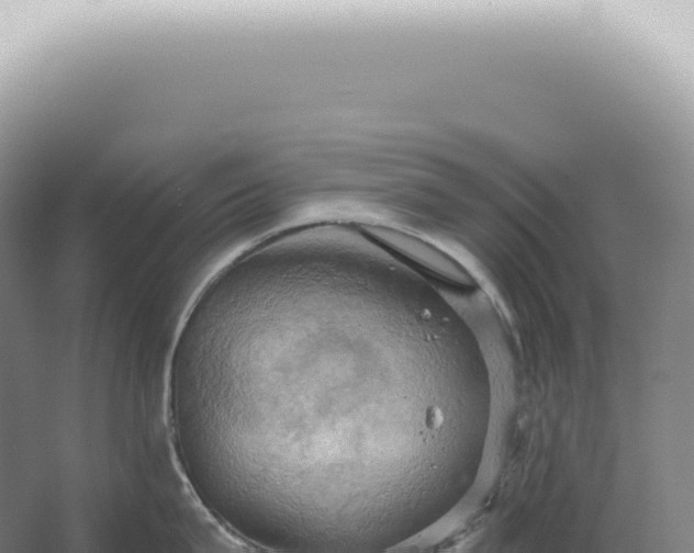 X0000067470815200604142349