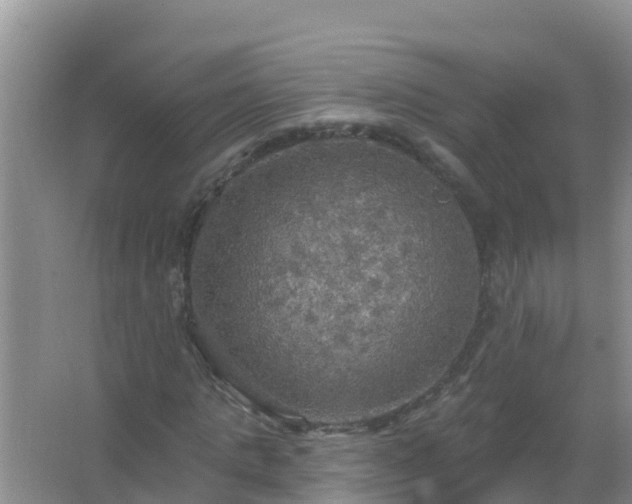 X0000067470821200604142348