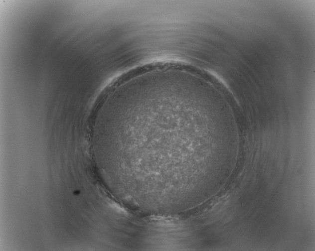 X0000067470823200604142348