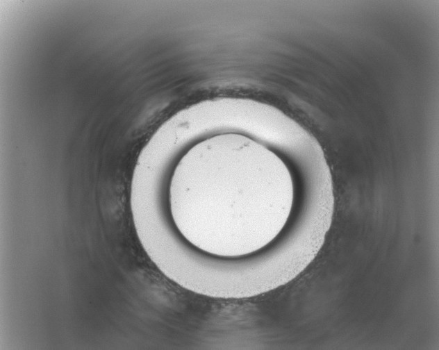 X0000067470824200604142348