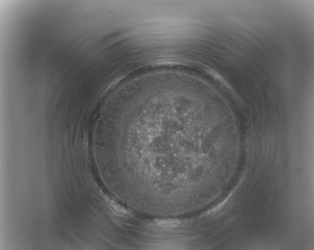 X0000067470825200604142348