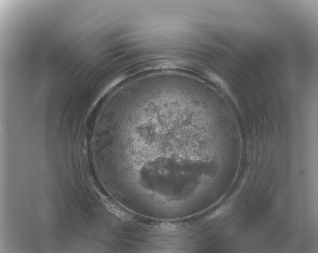 X0000067470827200604142348