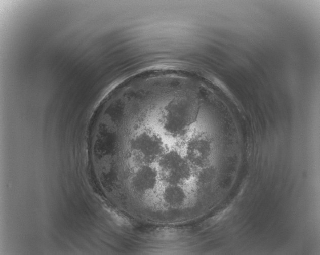 X0000067470829200604142348