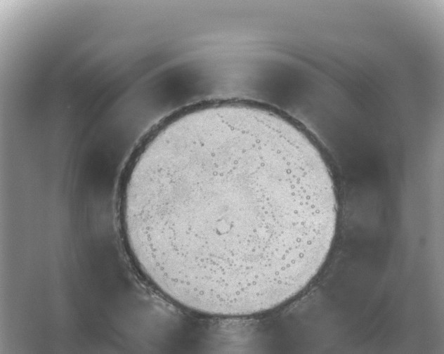 X0000067470832200604142348