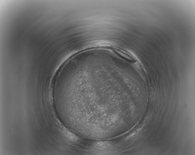 X0000067470835200604142348