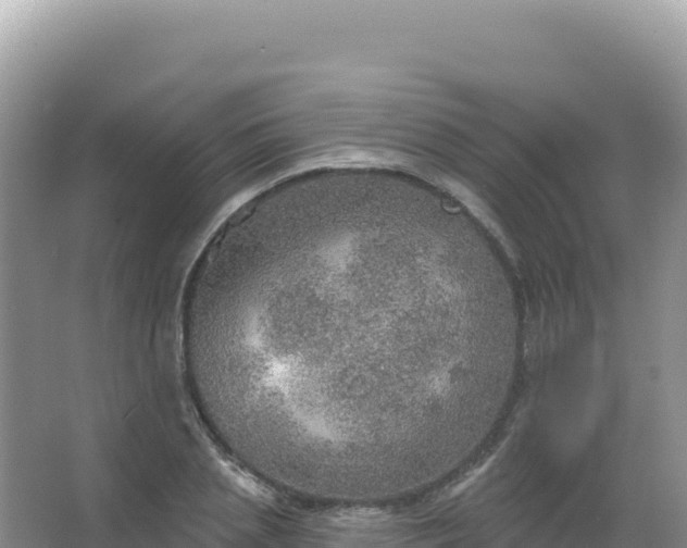 X0000067470837200604142348