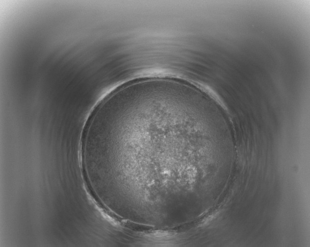 X0000067470839200604142348