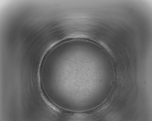 X0000067470840200604142348