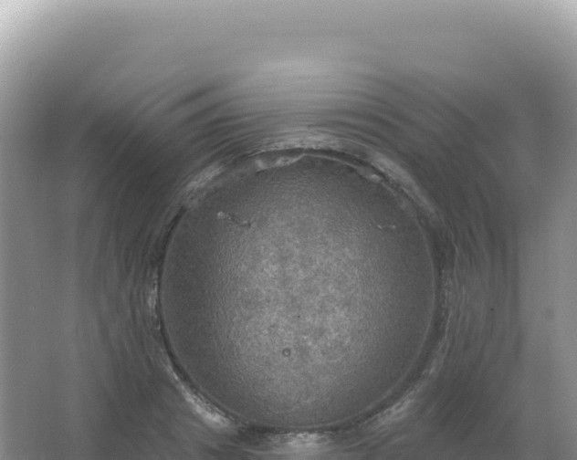 X0000067470841200604142348