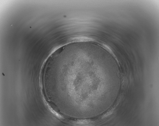 X0000067470843200604142348