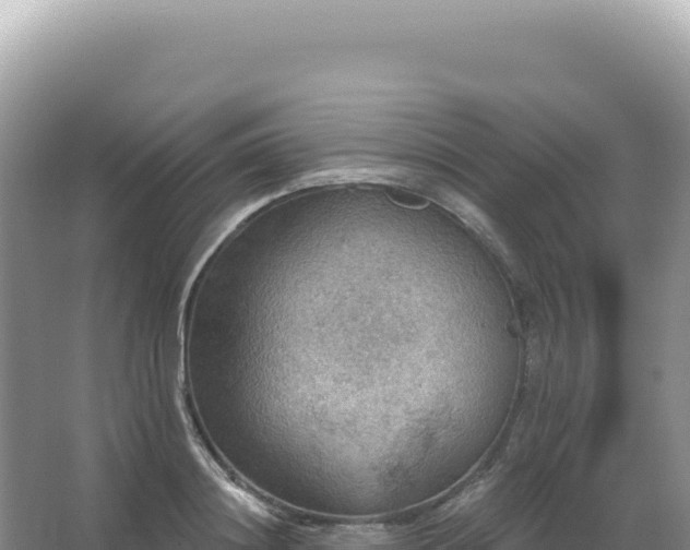 X0000067470844200604142348