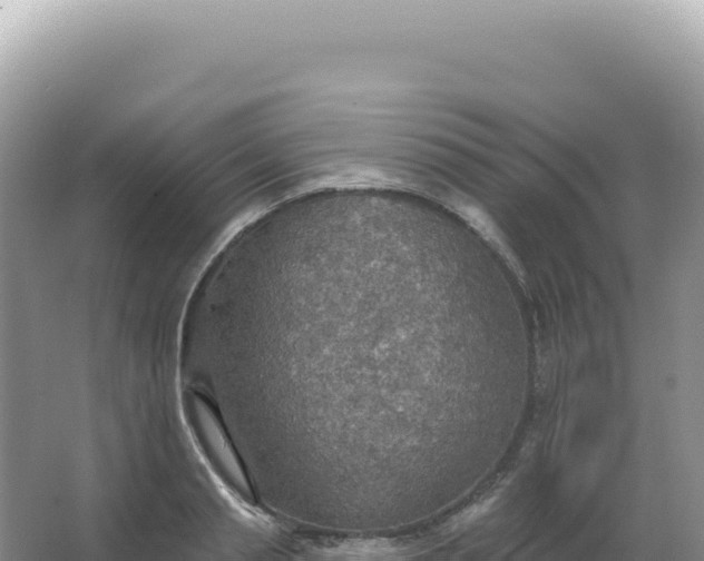 X0000067470845200604142348