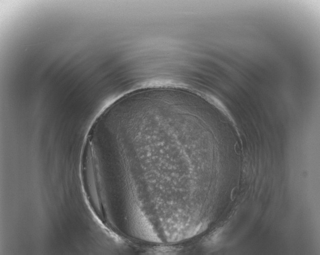 X0000067470847200604142348