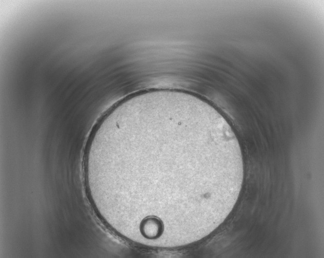 X0000067470848200604142348