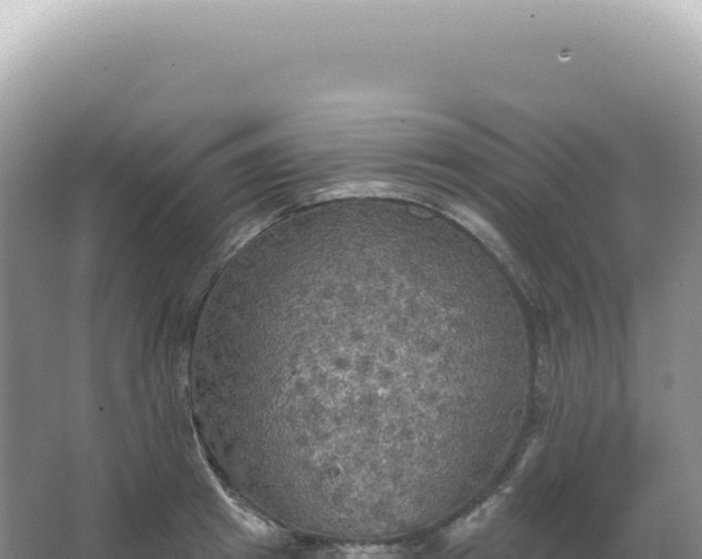 X0000067470849200604142348