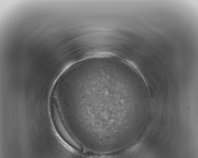 X0000067470851200604142348