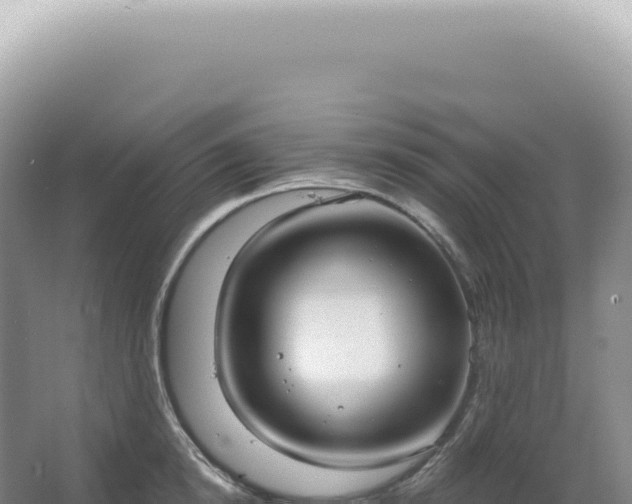 X0000067470854200604142348