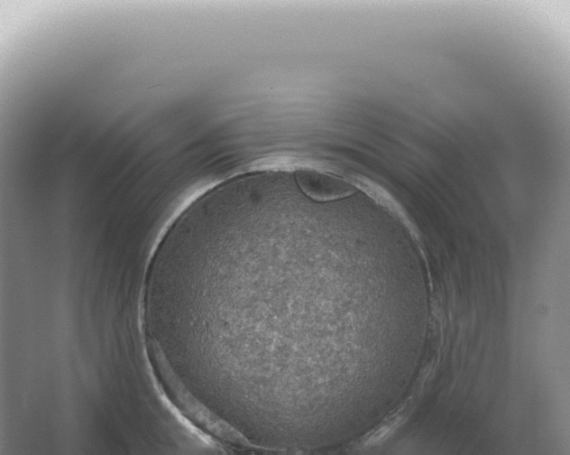 X0000067470855200604142348