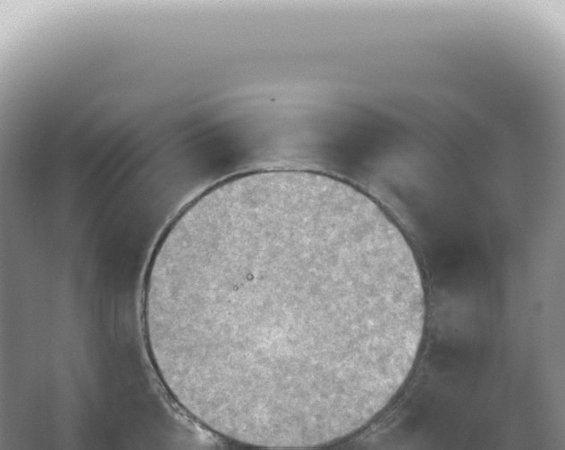 X0000067470856200604142348