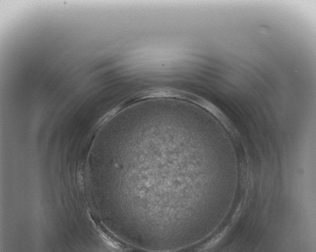 X0000067470857200604142348