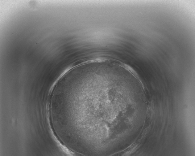 X0000067470859200604142348