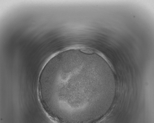 X0000067470861200604142348