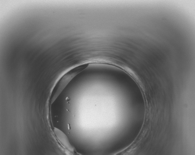 X0000067470862200604142348