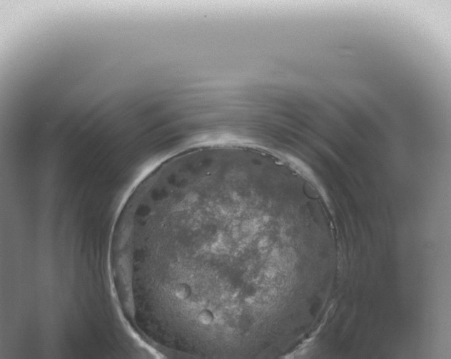 X0000067470863200604142348