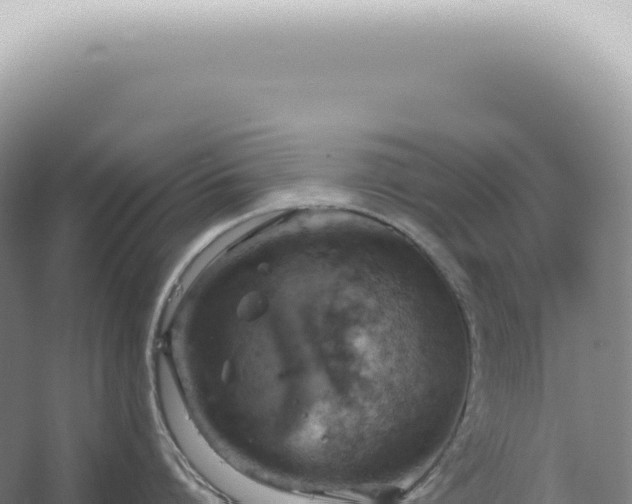 X0000067470864200604142349