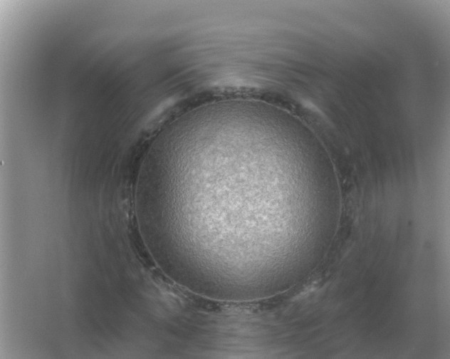 X0000067470870200604142348