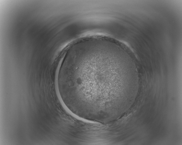 X0000067470871200604142348