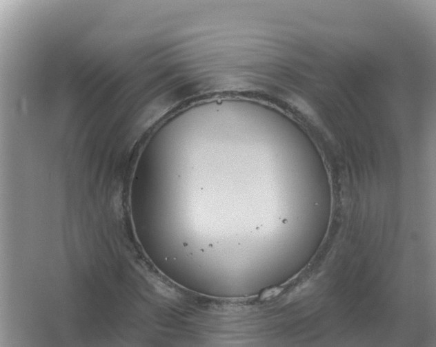 X0000067470873200604142348