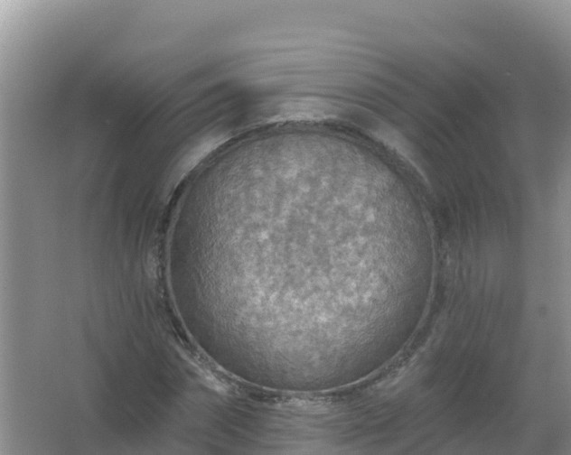 X0000067470874200604142348