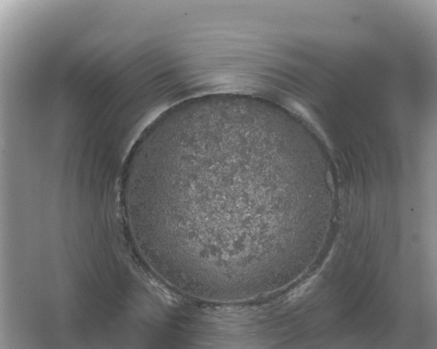 X0000067470875200604142348